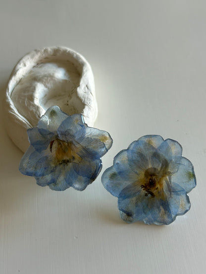 blue velvet stud earrings