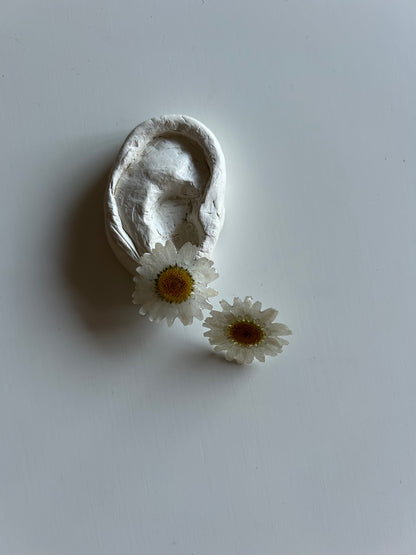 bellis stud earrings