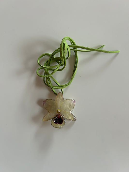 mini dendrobium choker