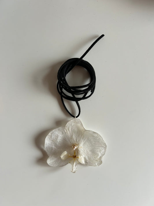 white orchid choker