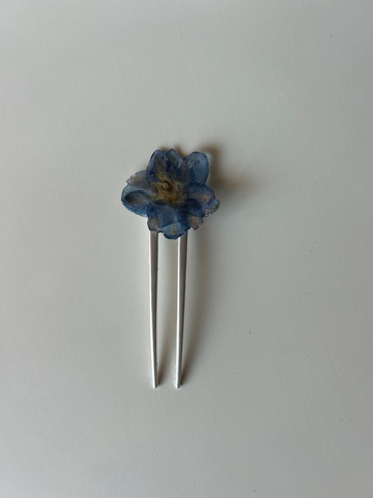 delphinium french pin