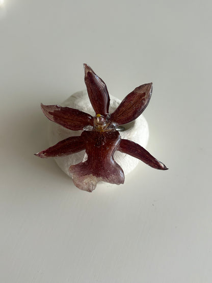 orchid adjustable ring