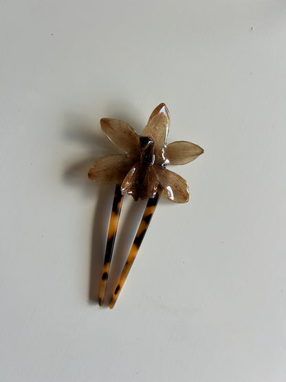 cym orchid french pin