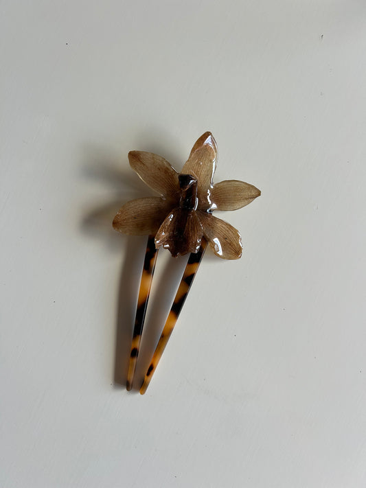 cym orchid french pin
