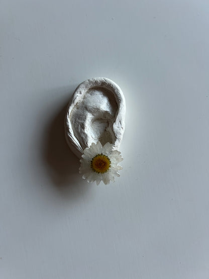 bellis stud earrings
