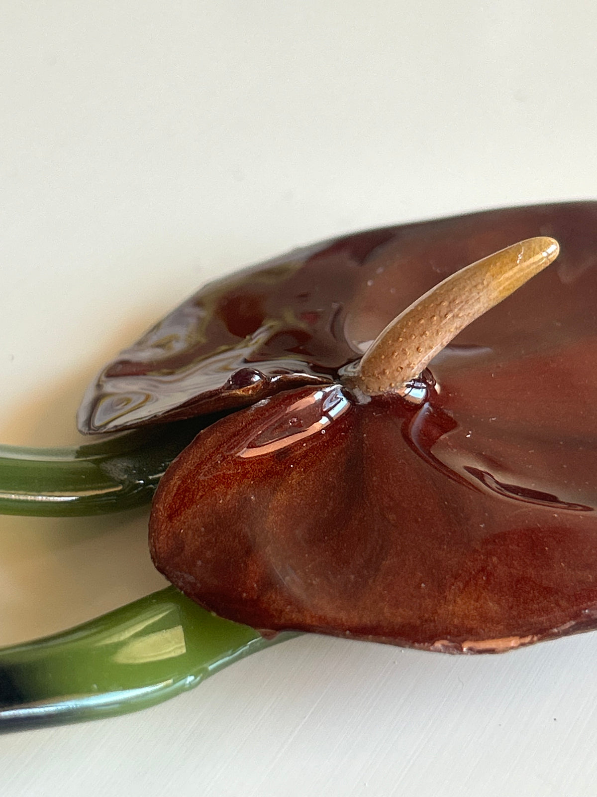 anthurium french pin