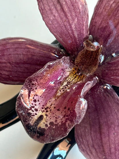 cym orchid french pin