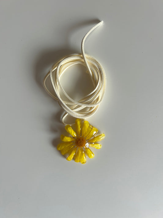 daisy choker