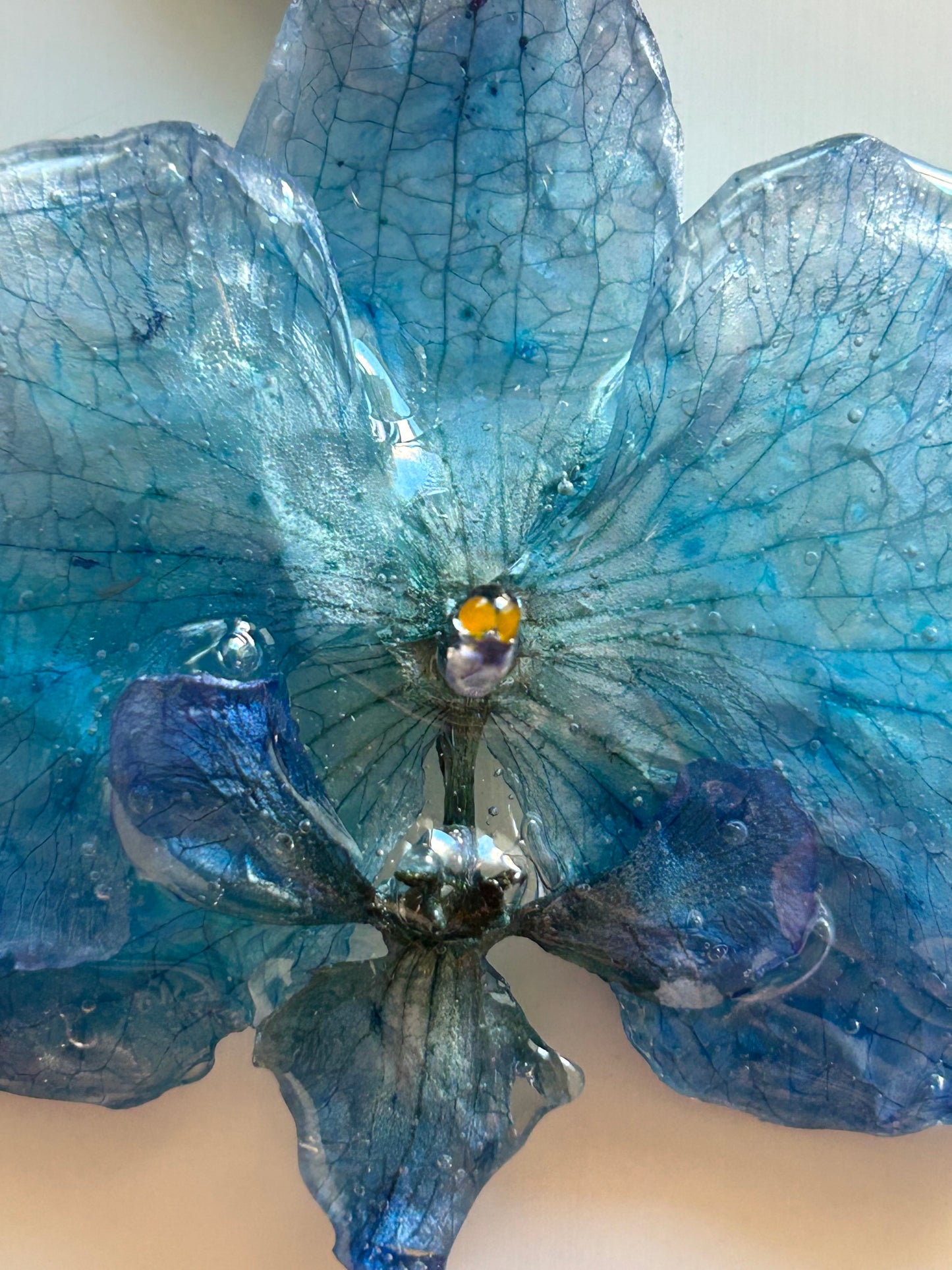 blue moth orchid choker