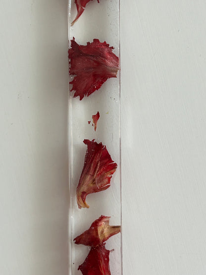 cravo bookmarker