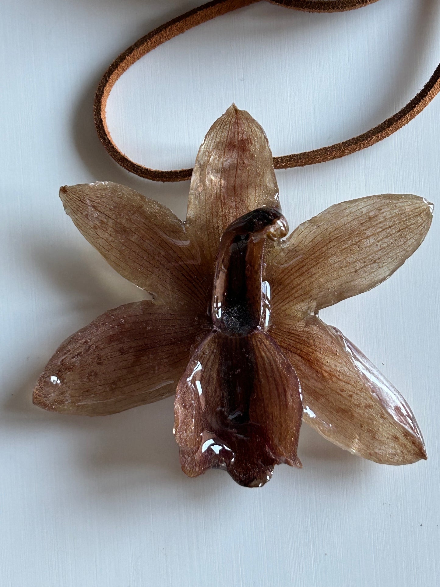 brown cymbidium choker