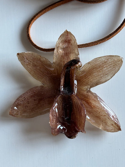 brown cymbidium choker