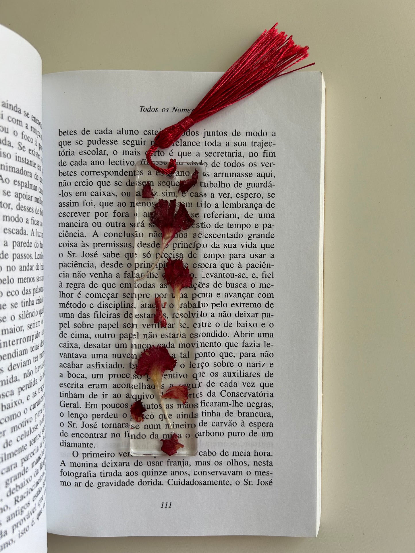 cravo bookmarker