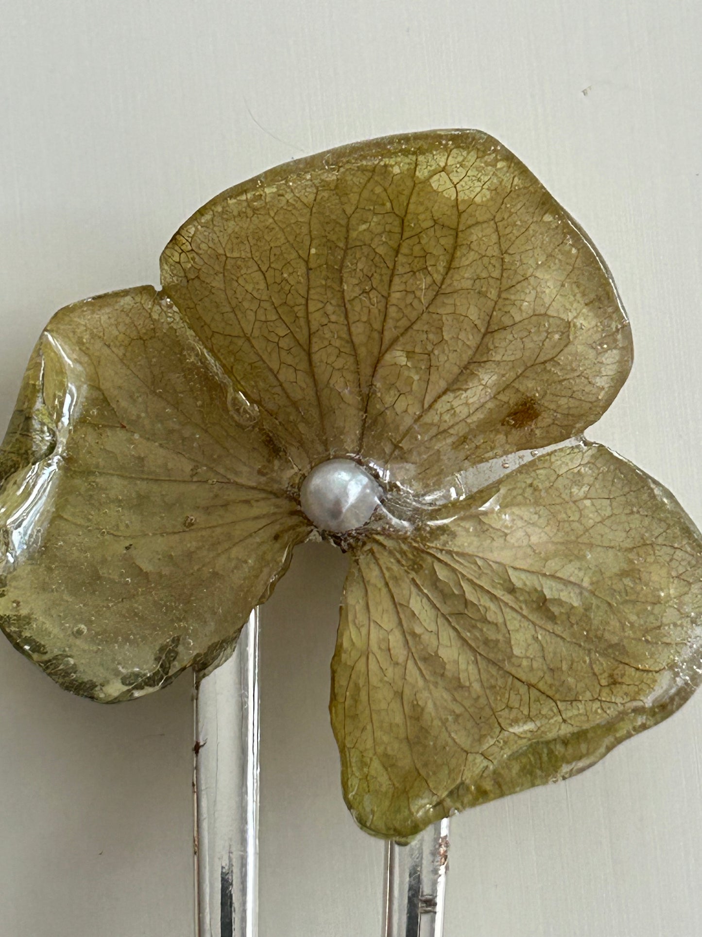 hydrangea french pin