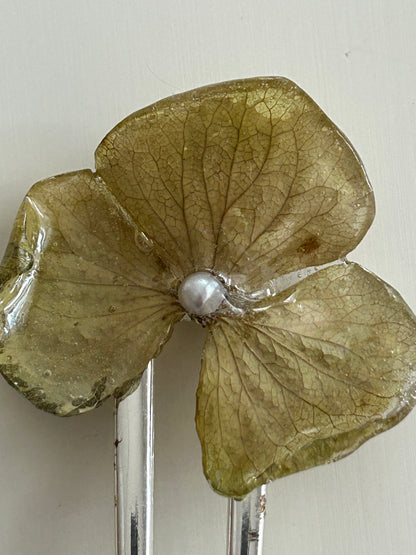 hydrangea french pin