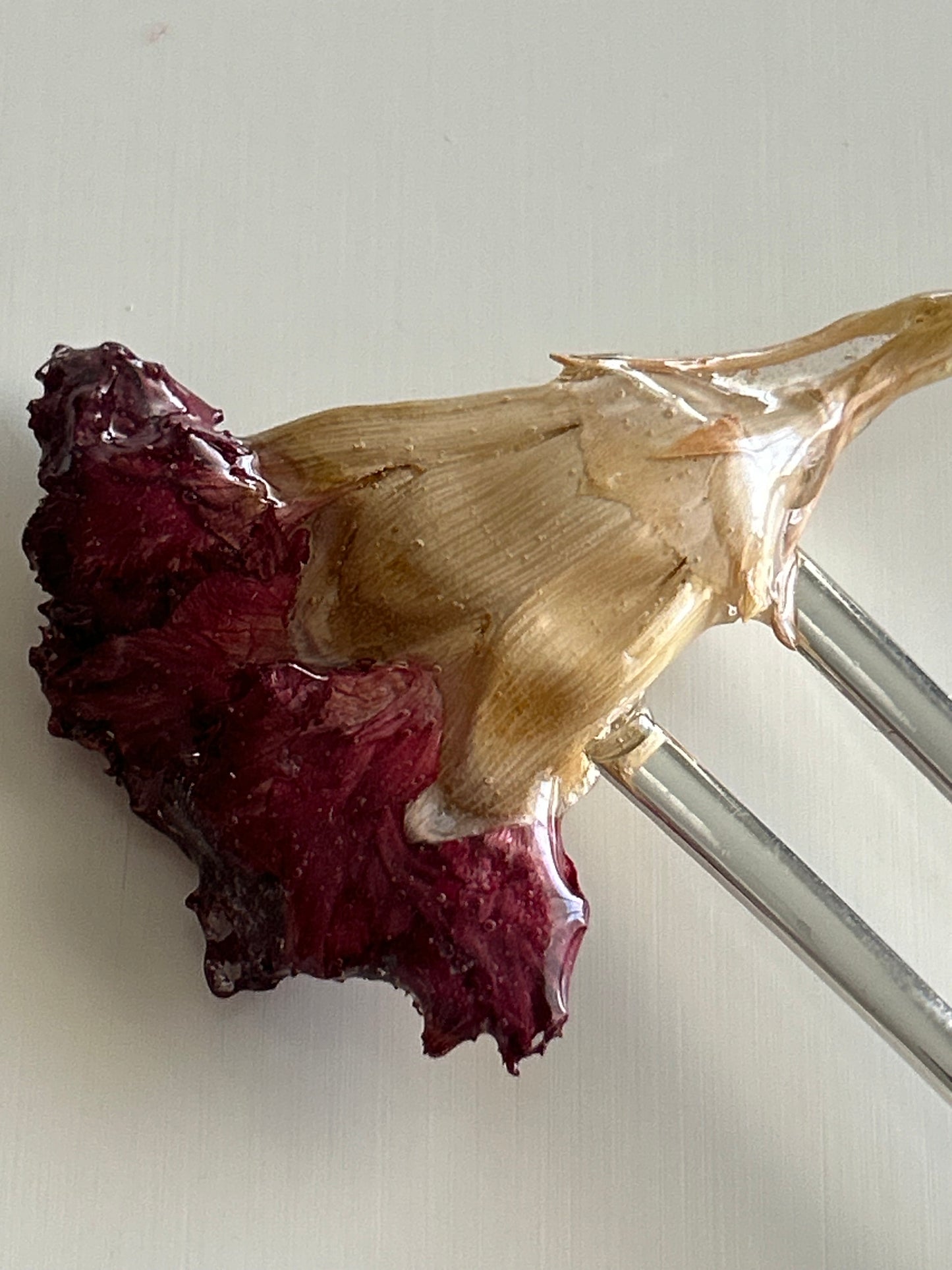french pin cravo