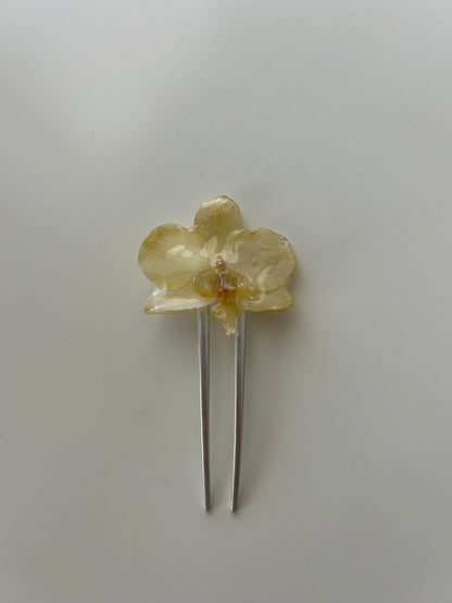 orchid french pin