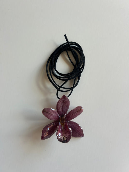 cym orchid choker