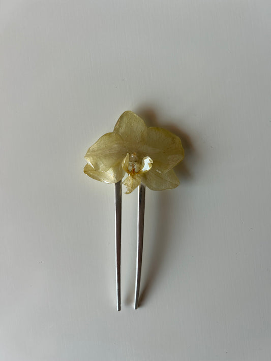 orchid french pin