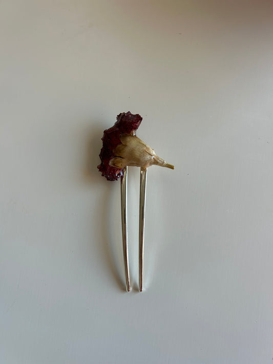 french pin cravo