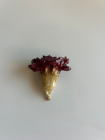 gancho cravo vermelho