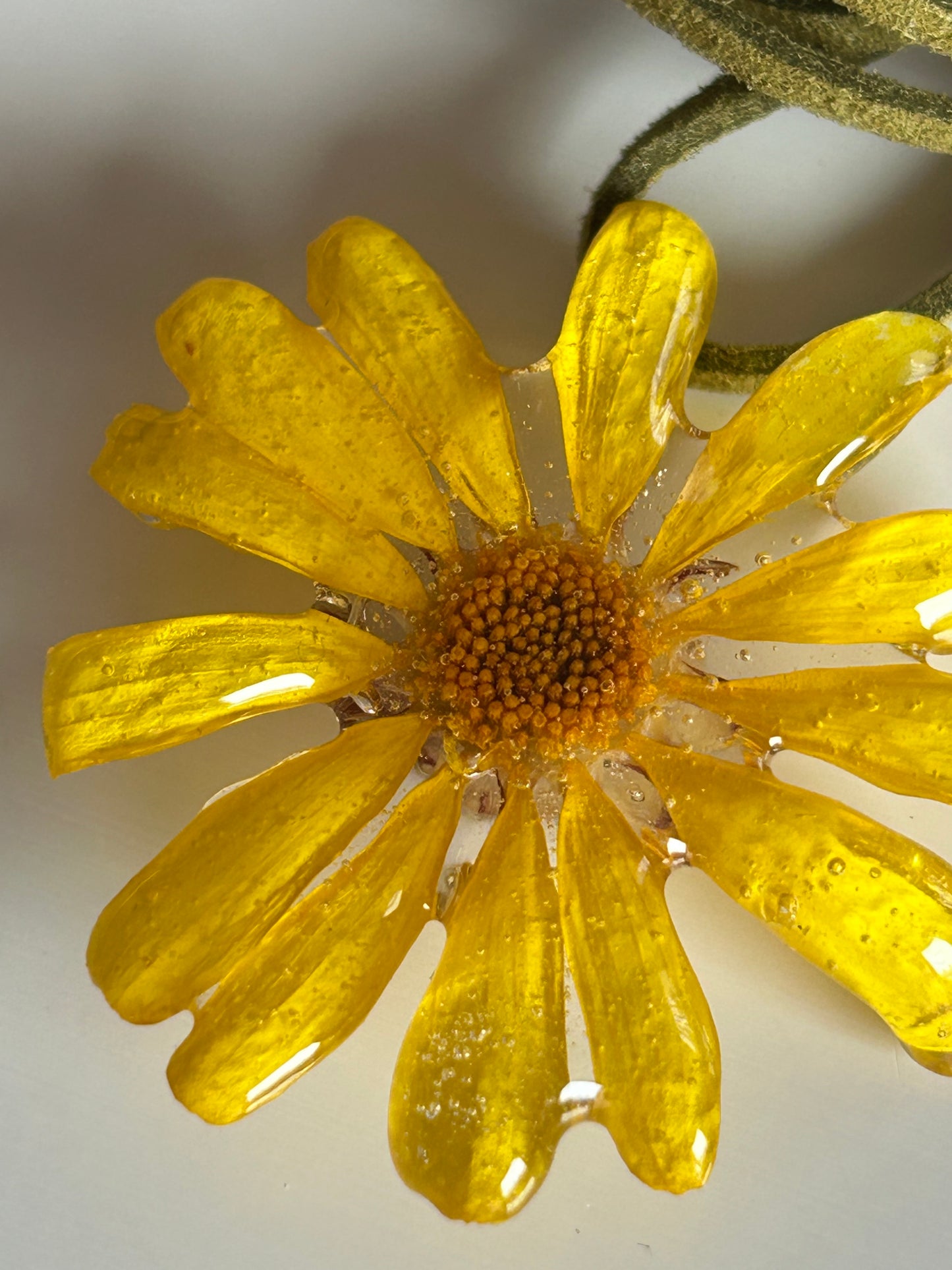 daisy choker