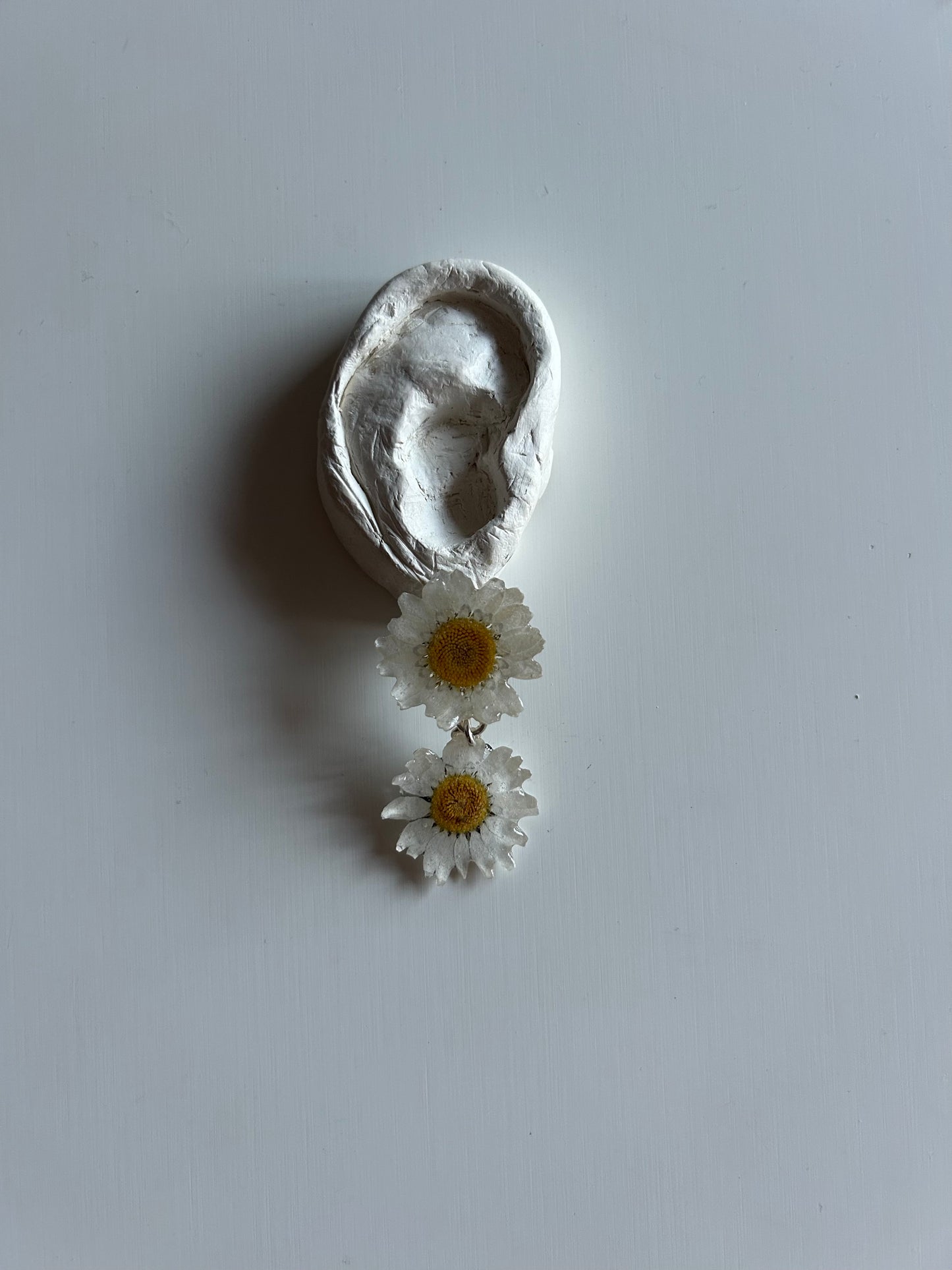 bellis stud earrings
