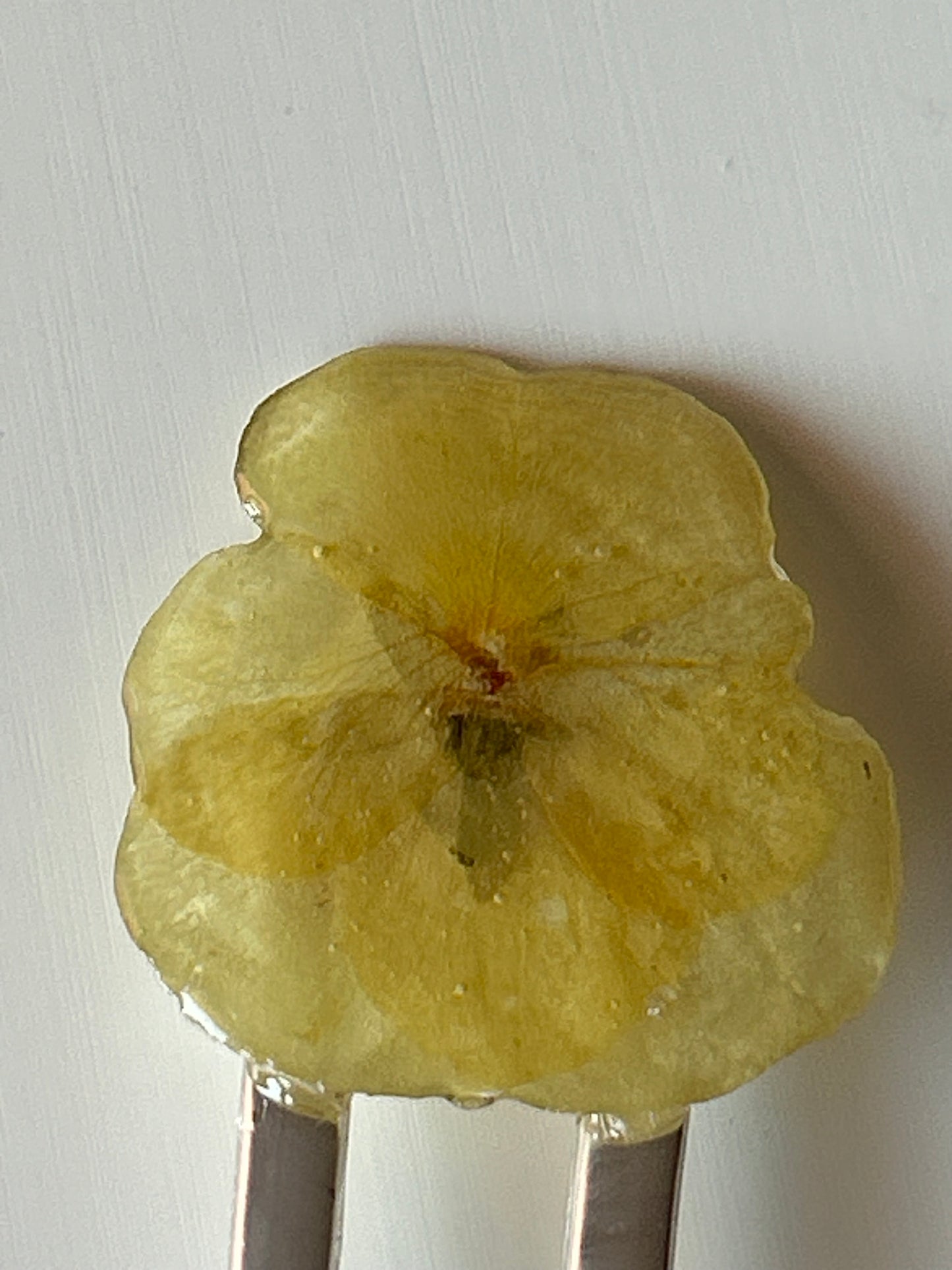 yellow pansy french pin