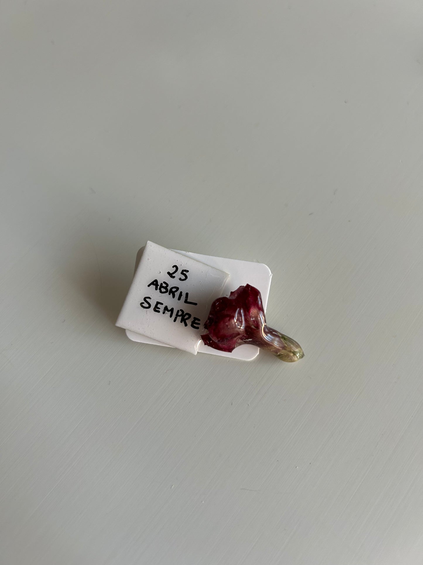 pack pin mini cravo + frase