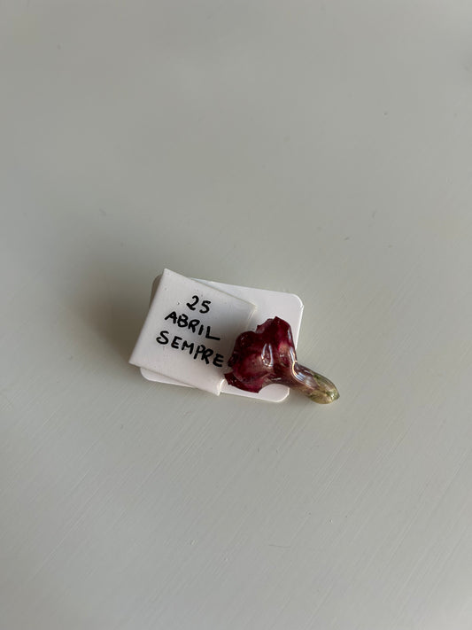 pack pin mini cravo + frase