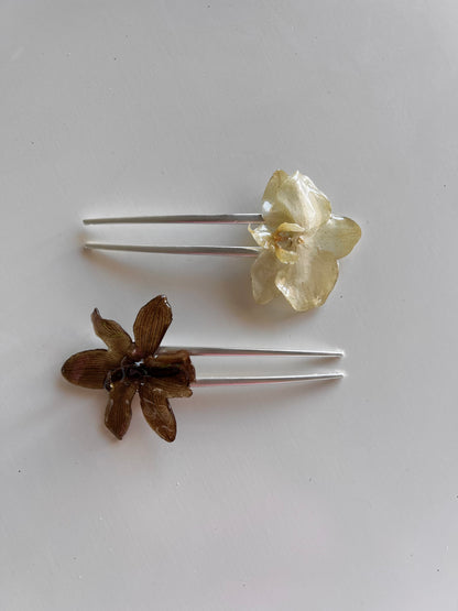 orchid french pin