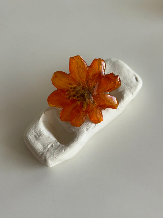 pumpkin jam ring
