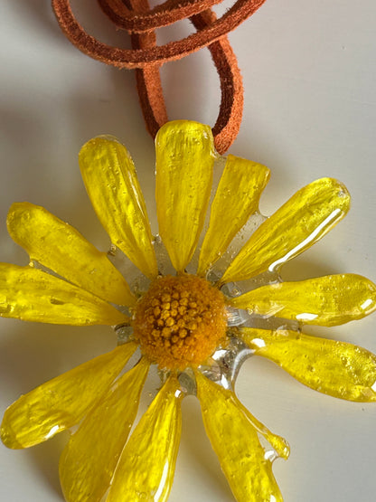 daisy choker