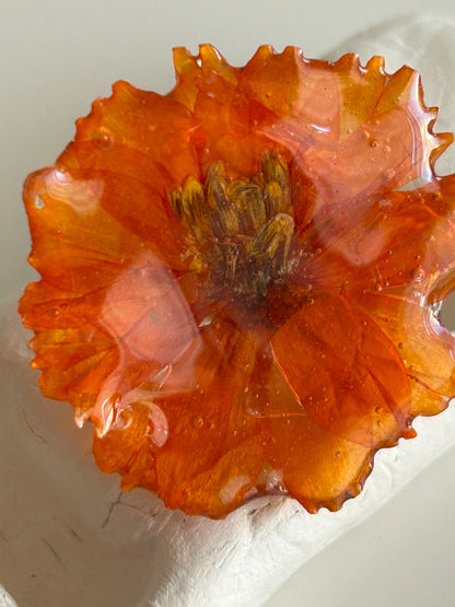 pumpkin jam ring