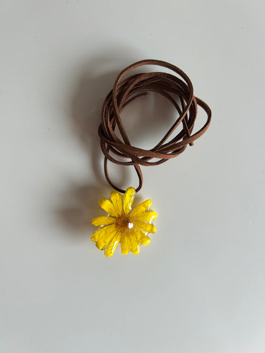 daisy choker