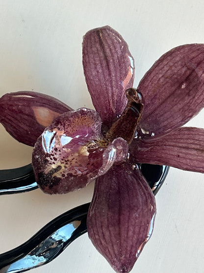 cym orchid french pin