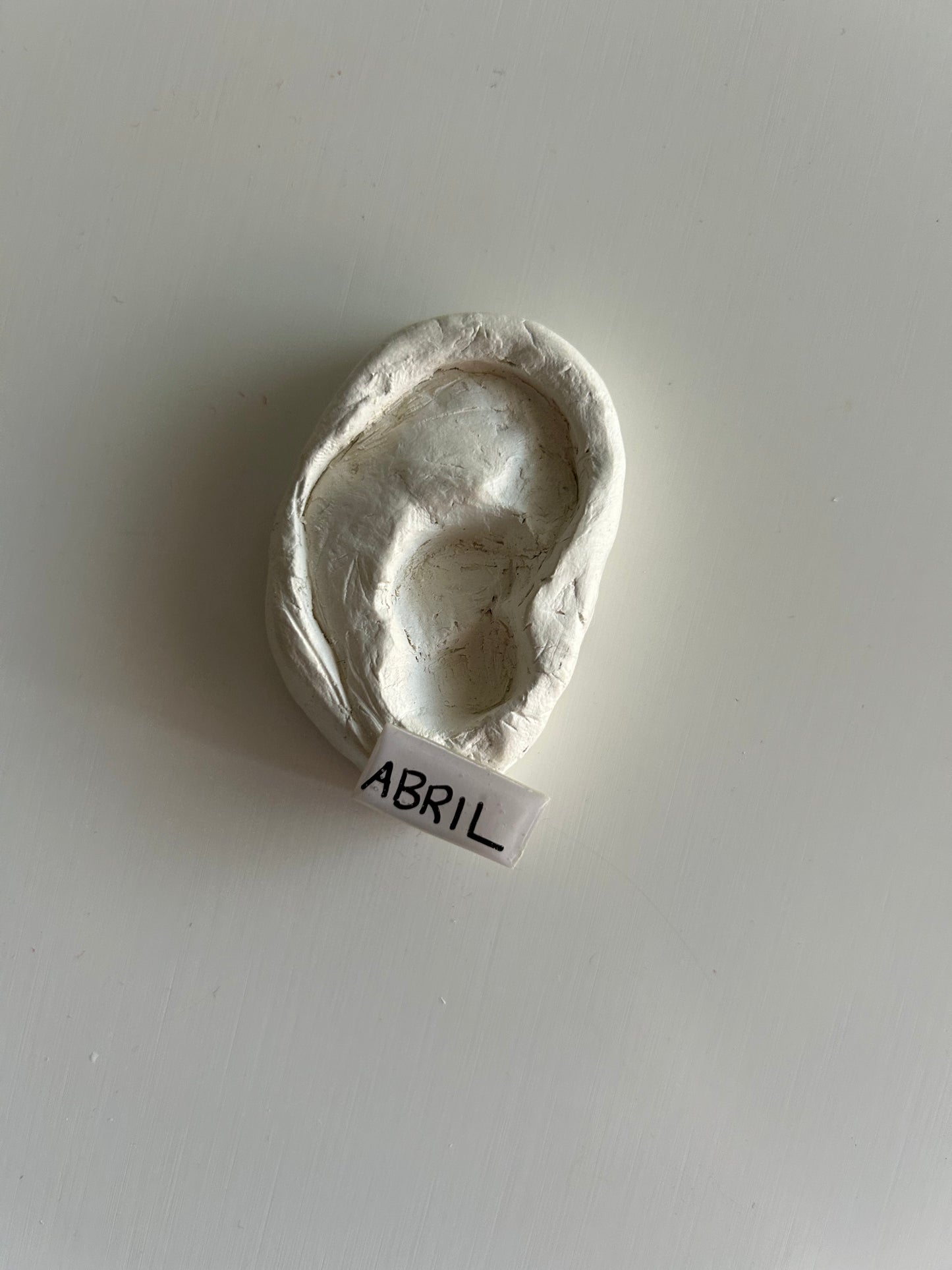 brincos mini cravo + abril