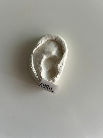 brincos mini cravo + abril