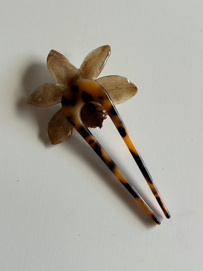 cym orchid french pin