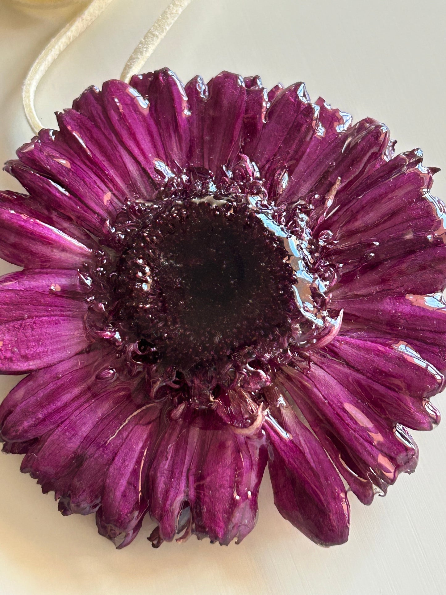 gerbera choker